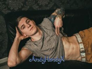 AndyHandyX