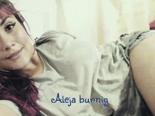 Aleja_burnig