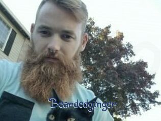 Beardedginger