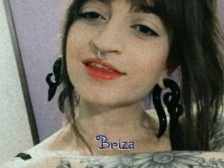 Briza