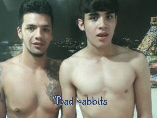 Bad_rabbits