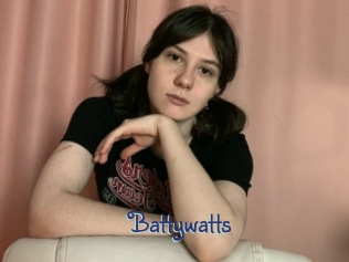 Battywatts