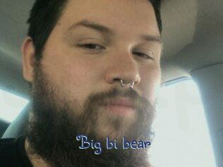 Big_bi_bear