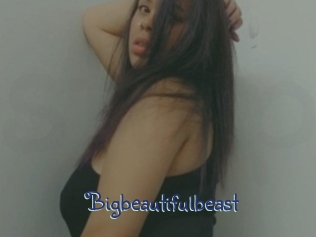 Bigbeautifulbeast