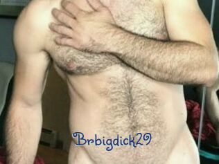 Brbigdick29