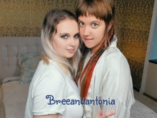 Breeandantonia