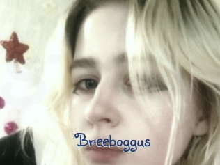 Breeboggus