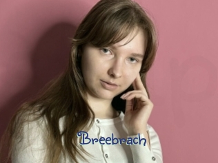 Breebrach