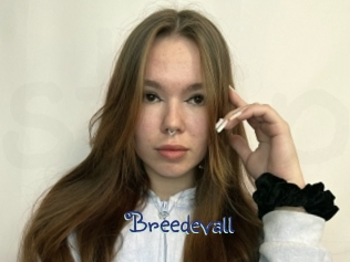 Breedevall