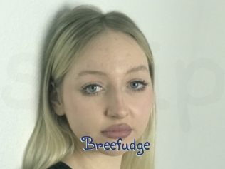 Breefudge