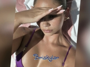 Briskylar