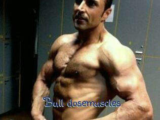 Bull_dosemuscles