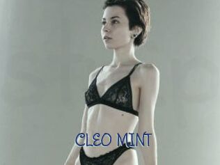 CLEO_MINT