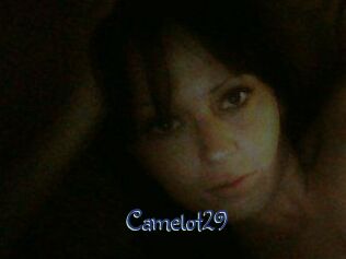 Camelot29