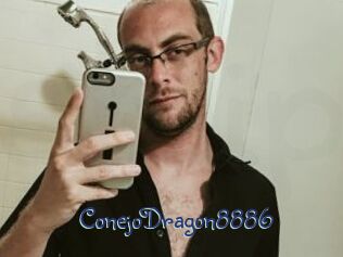 ConejoDragon8886