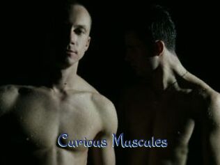 Curious_Muscules