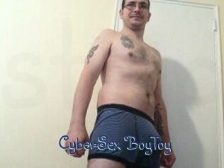 CyberSex_BoyToy