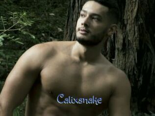 Calixsnake