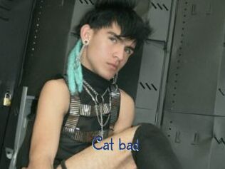 Cat_bad