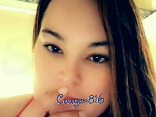 Cougar816