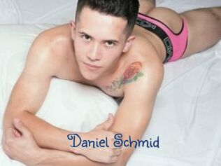 Daniel_Schmid