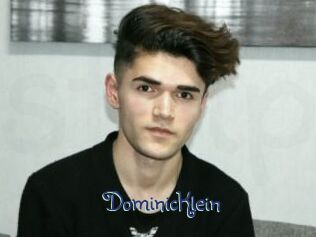 DominicKlein