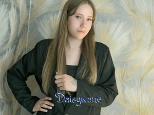 Daisywane