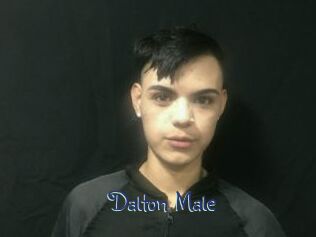 Dalton_Male