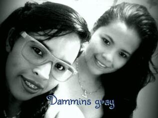 Dammins_gray