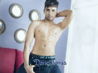 Daneil_torus