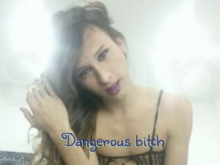 Dangerous_bitch