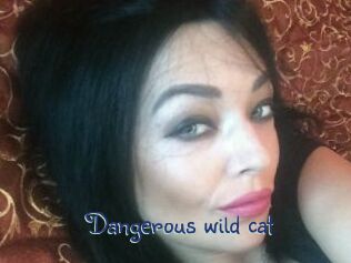 Dangerous_wild_cat