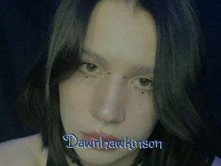 Dawnhawkinson