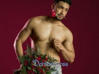Dominicross