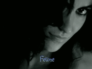 Feline