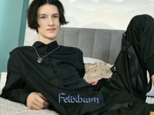 Felixburn