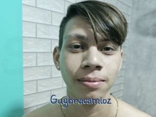 guybracamloz Stripx