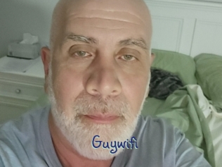 guywifi Stripx