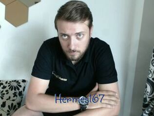 Hermes167 Stripx