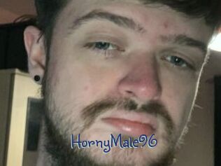 HornyMale96