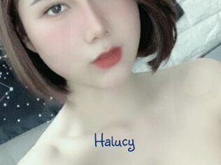 Halucy