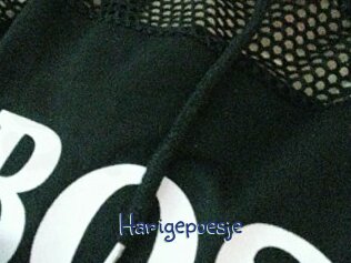 Harigepoesje