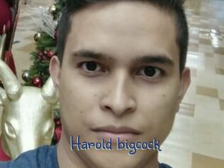 Harold_bigcock