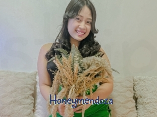 Honeymendoza