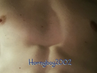 Hornyboy2002