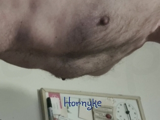 Hornyke