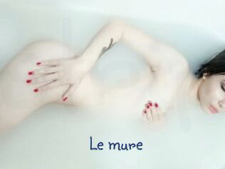 Le_mure