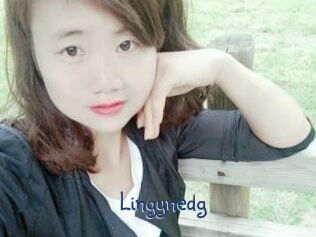 Lingynedg
