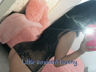 Little_innocent_bunny