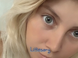 Littlesary